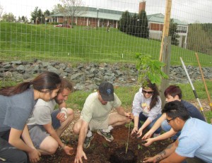Planting a tree. Photography by Jackie Layton