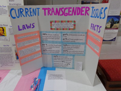 transgenderissues