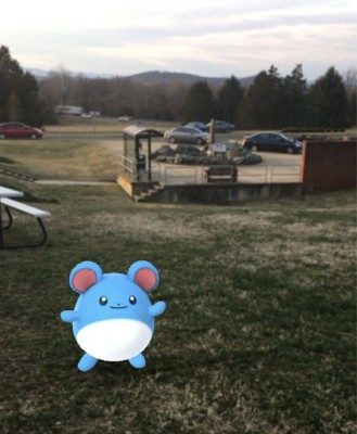New Pokemon, Marill, outside of the Main Building Photo by MaKayla Grapperhaus