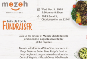 picture of a flyer from Mezah describing their Dogs Deserve Better Fundraiser