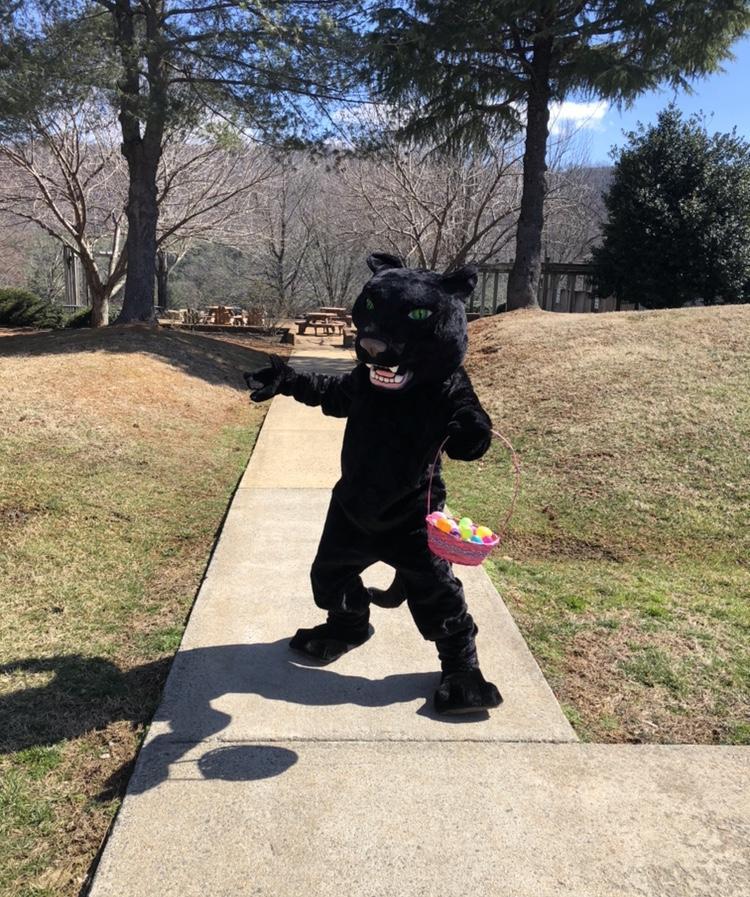 Pouncer the panther ready for the egg hunt