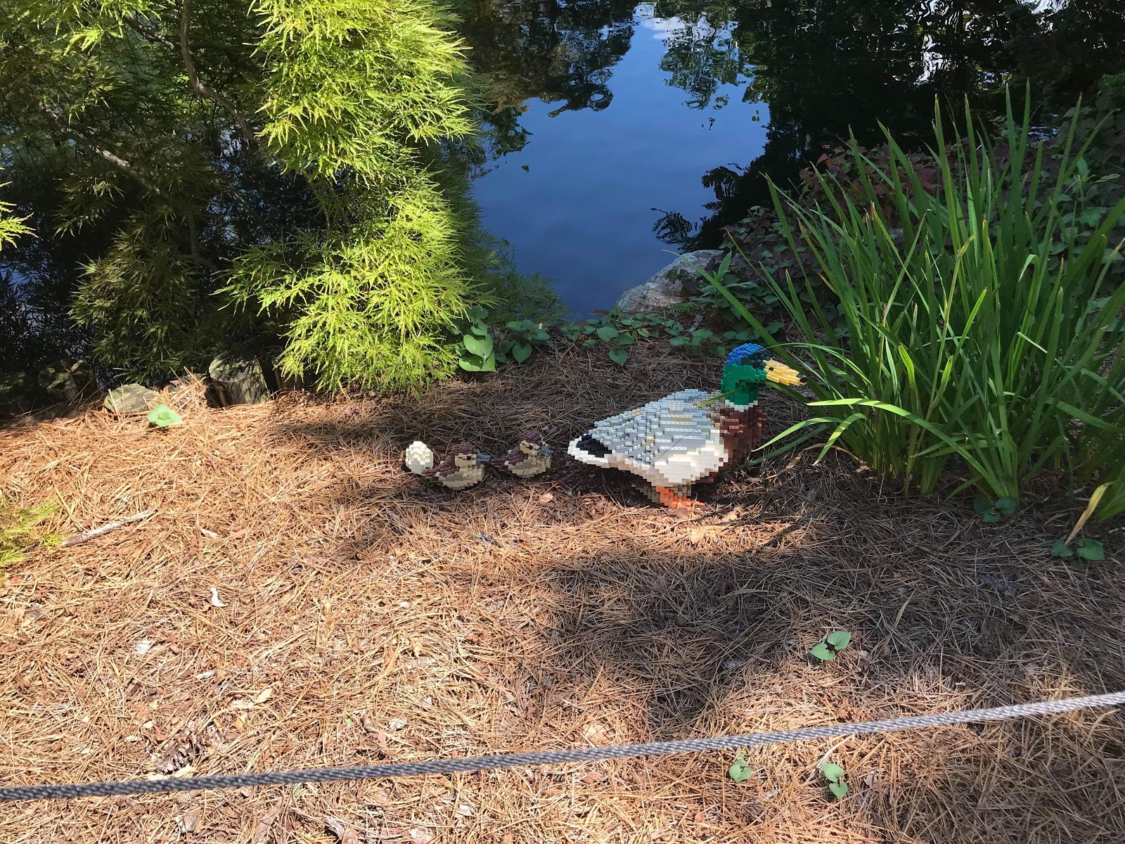 A mother and baby ducks made of Lego bricks beside a lake