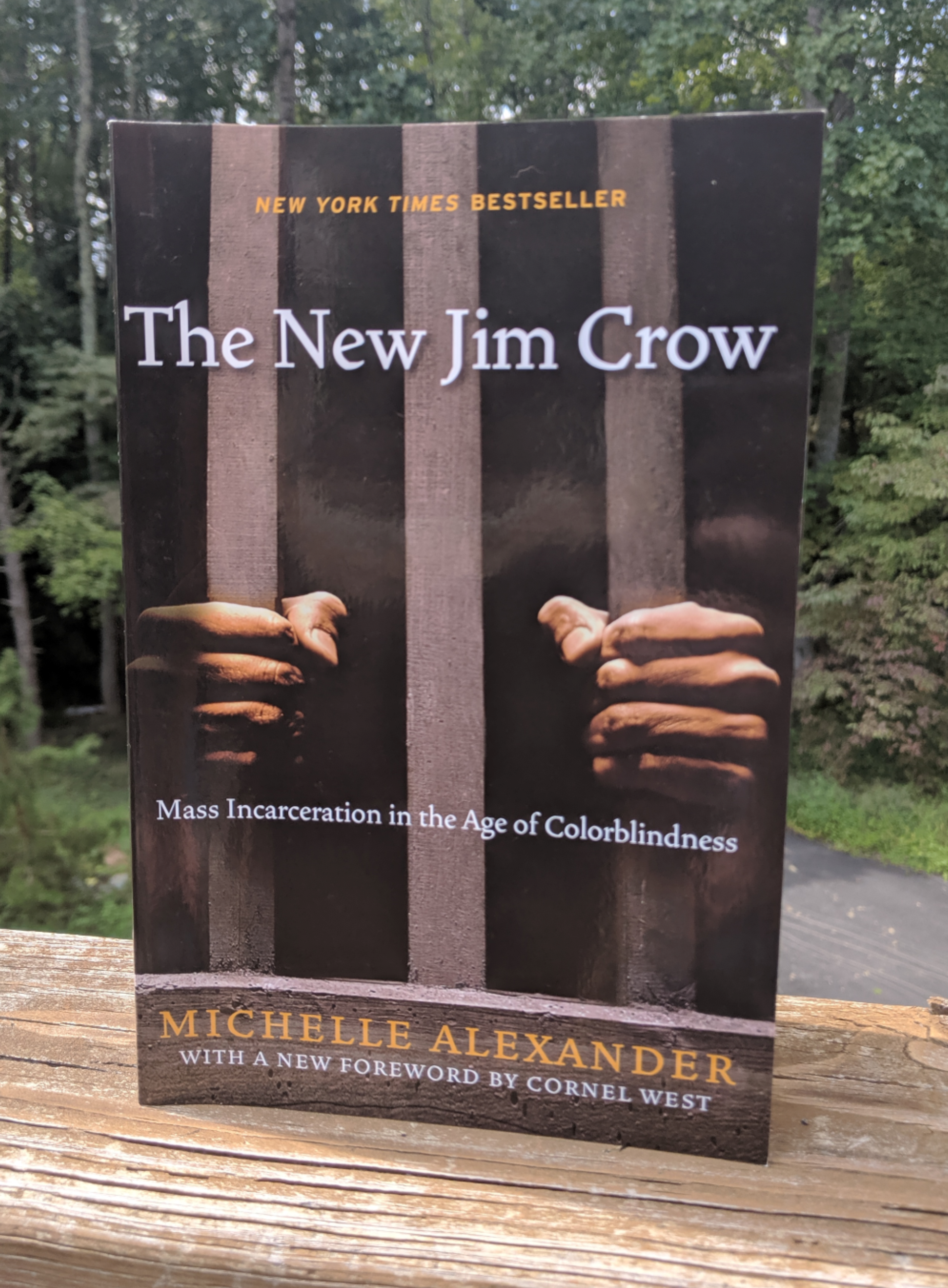 The New Jim Crow that is the new One Book for Fall 2019 Semester