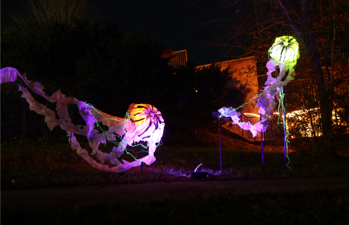 a display from PVCC's annual let there be light