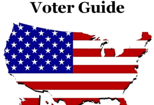 PVCC Non-Partisan Voter Guide: 2020 Primary with an image of the USA covered with a flag