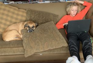 My son doing homeschool with our dog next to him.