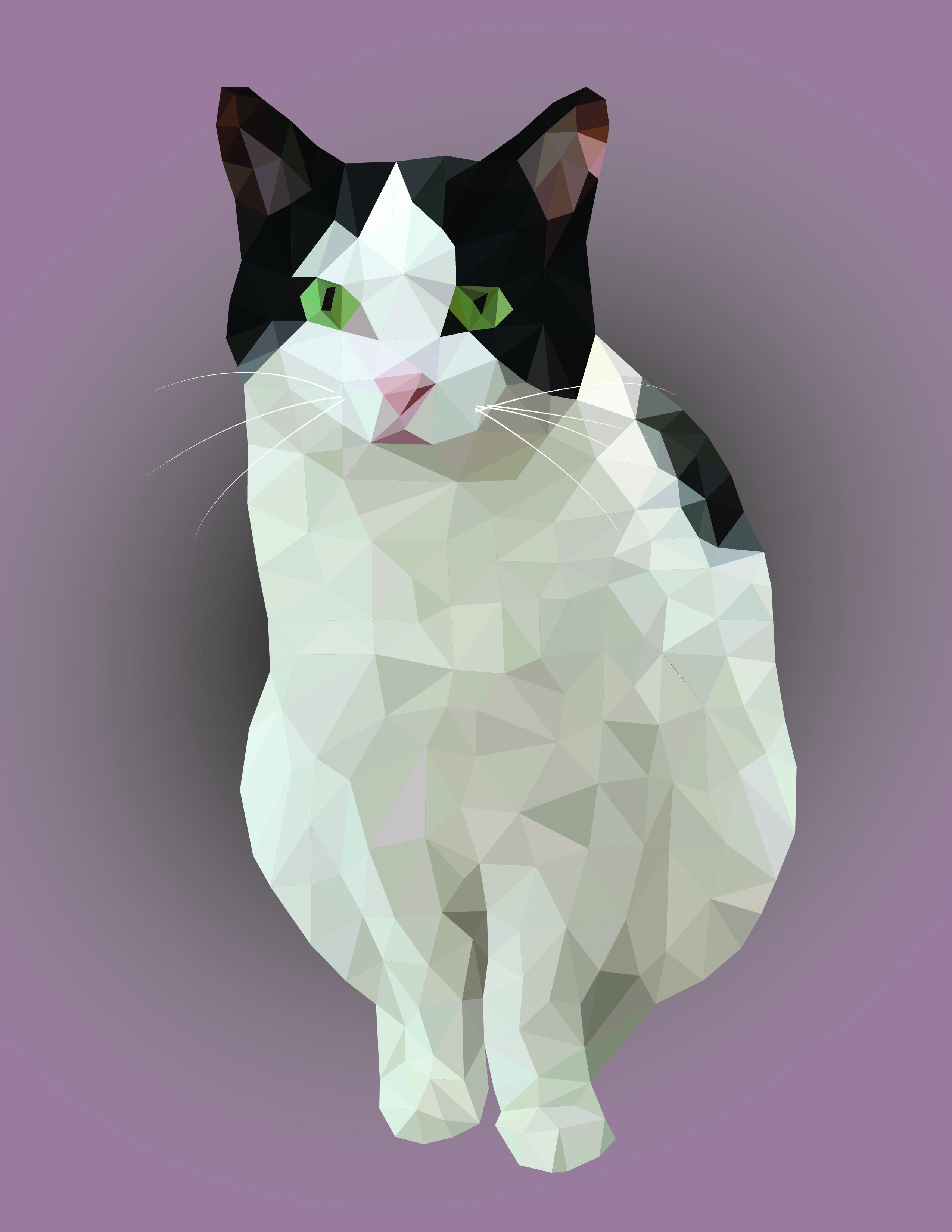 A low poly geometric illustration of a black and white cat on a purple background