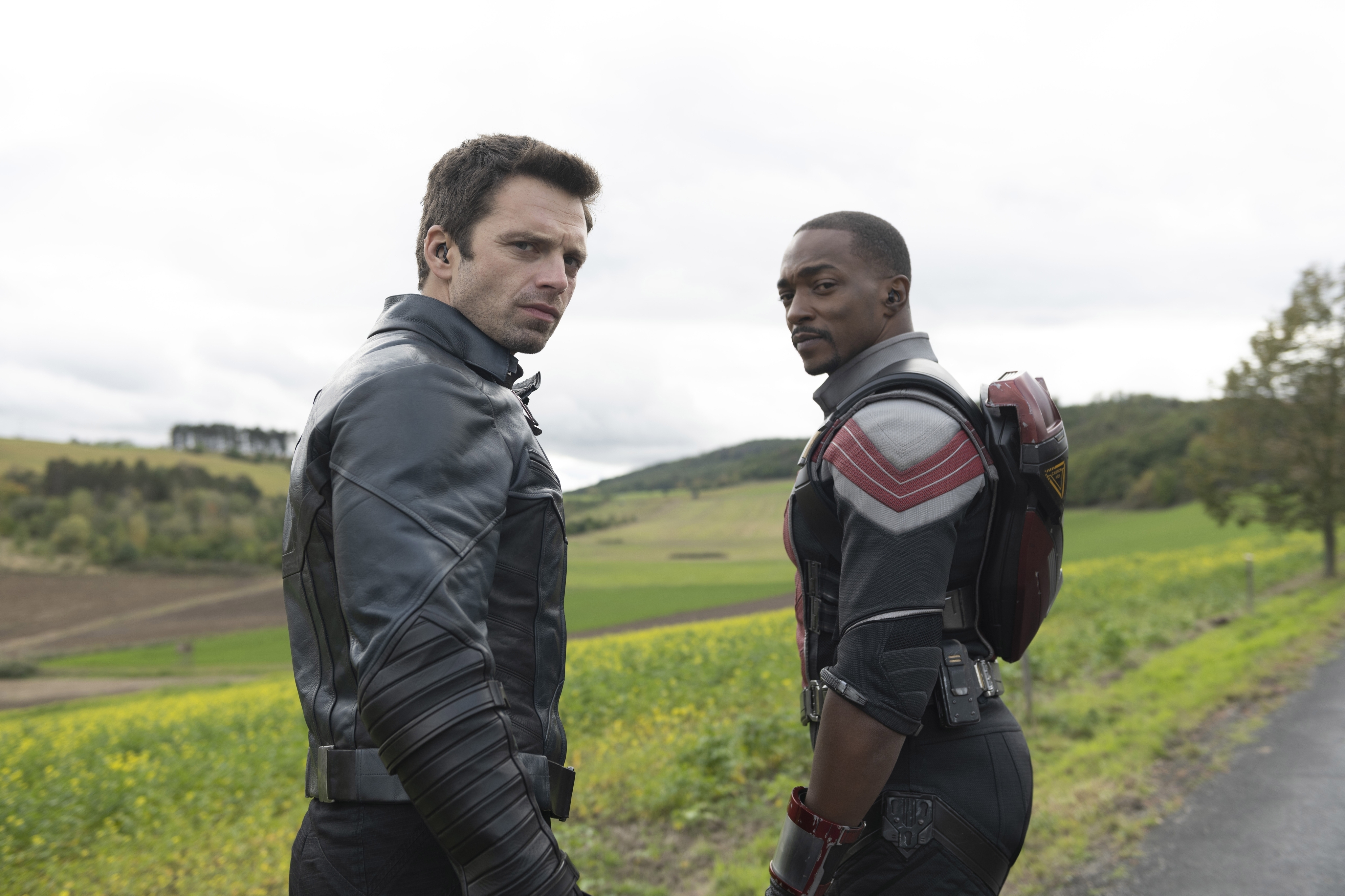 Bucky Barnes, The Winter Soldier, and Sam Wilson, The Falcon, look over their shoulders in the direction of the camera. Behind them is a lush green field and an overcast sky.