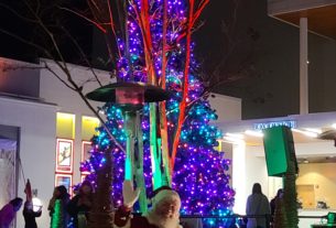 Santa Claus poses in front of a large Christmas Tree lit with red, blue and green lights, with a white star on top