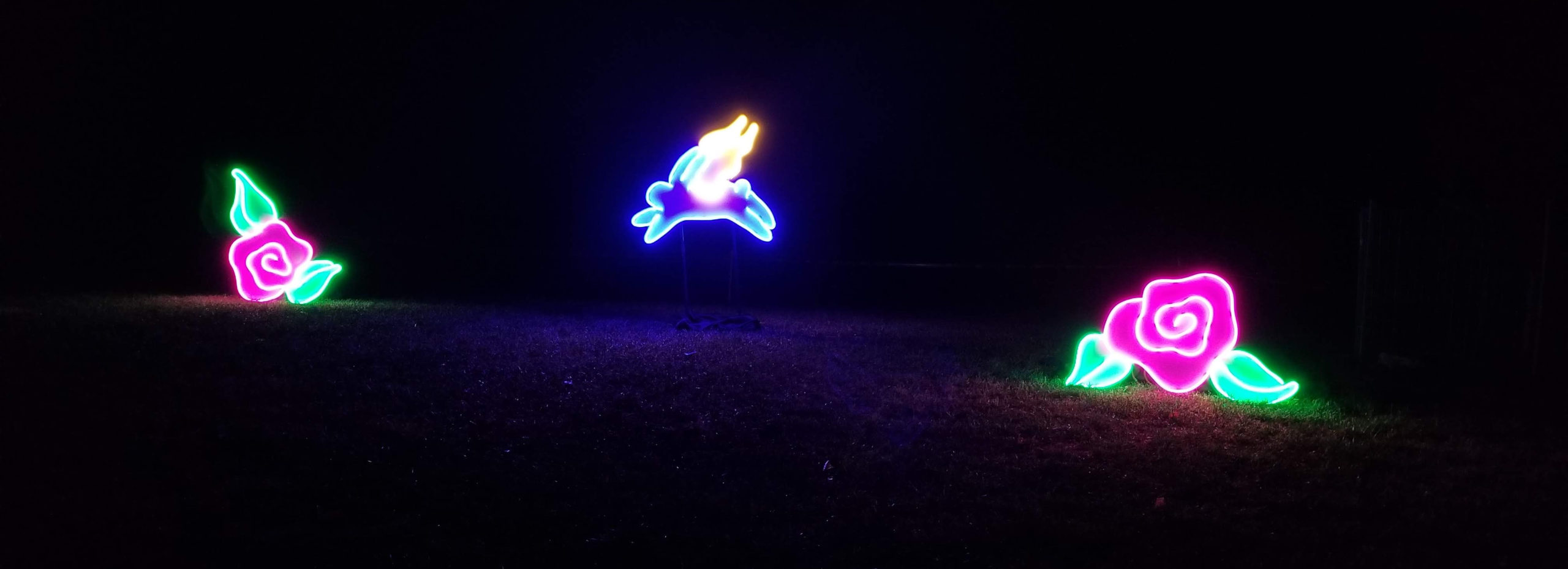 Two purple neon roses flank a neon sign showing a blue rabbit with yellow wings