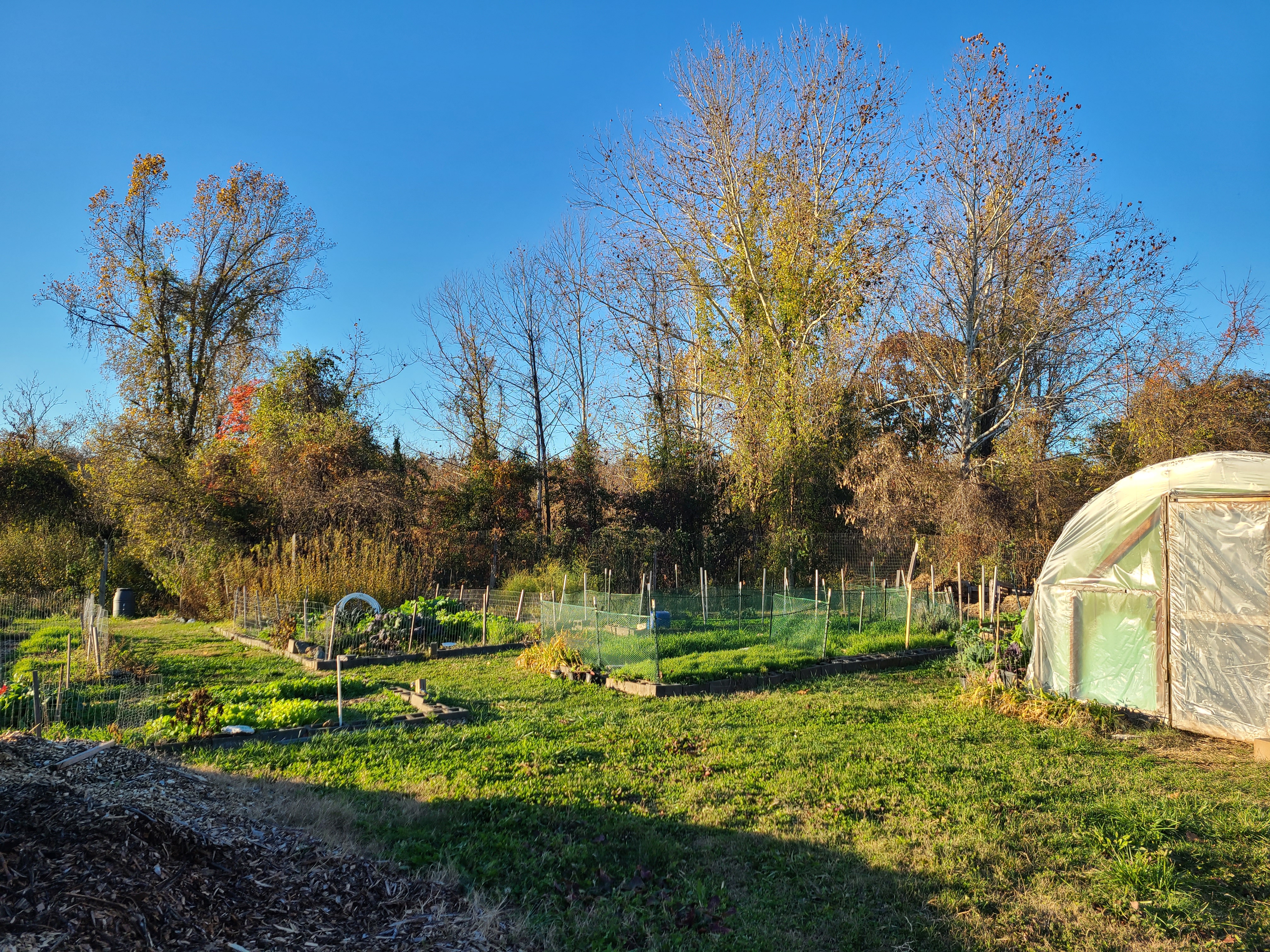 A view of PVCC's garden, with a greenhouse with plastic sheeting in the foreground