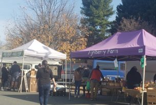 Several people browse several stalls selling fresh produce and other food at the IX Farmers Market