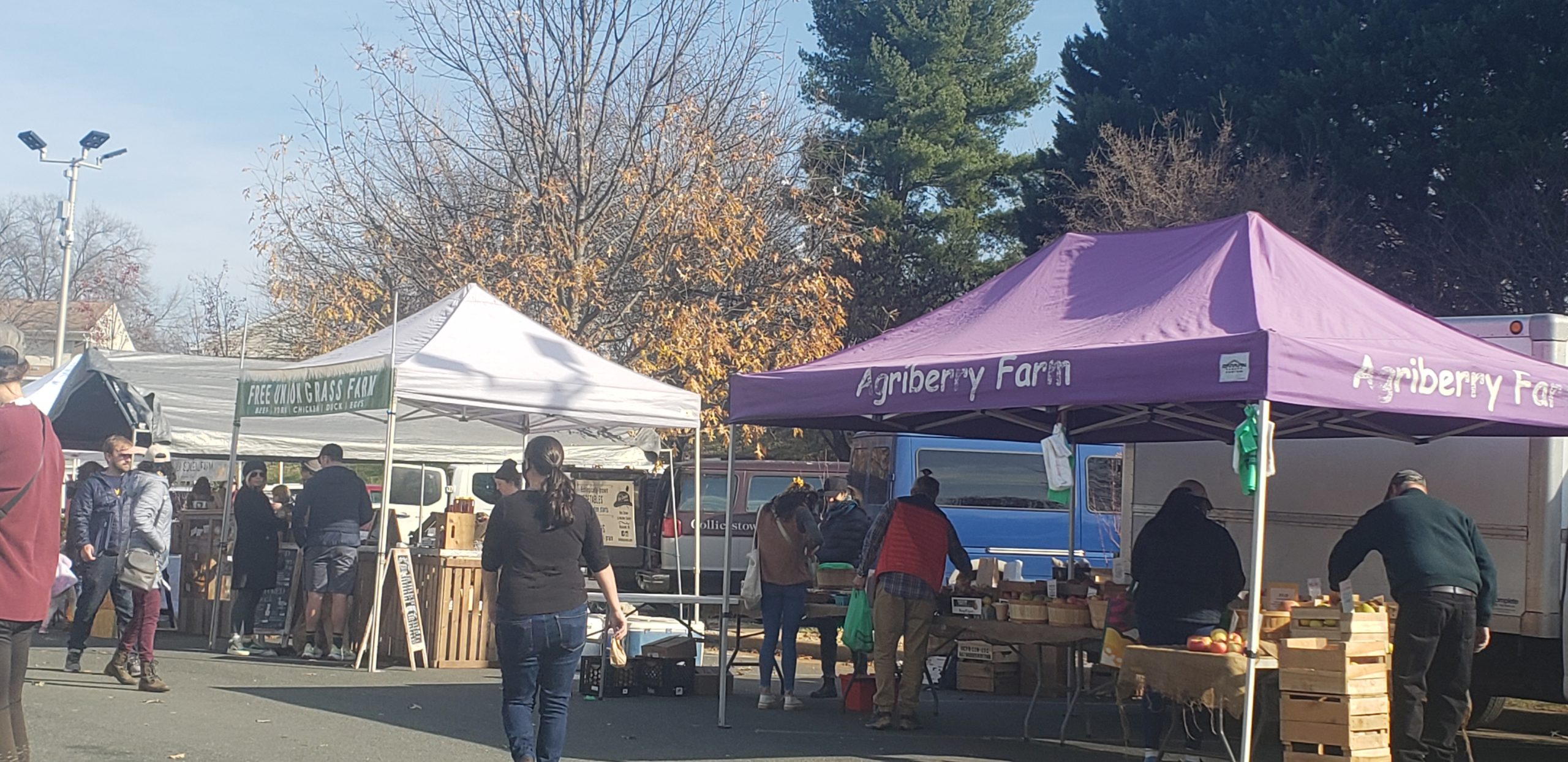 Several people browse several stalls selling fresh produce and other food at the IX Farmers Market