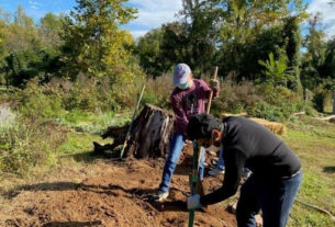 Two students use gardening implements to till the earth on a sunny day