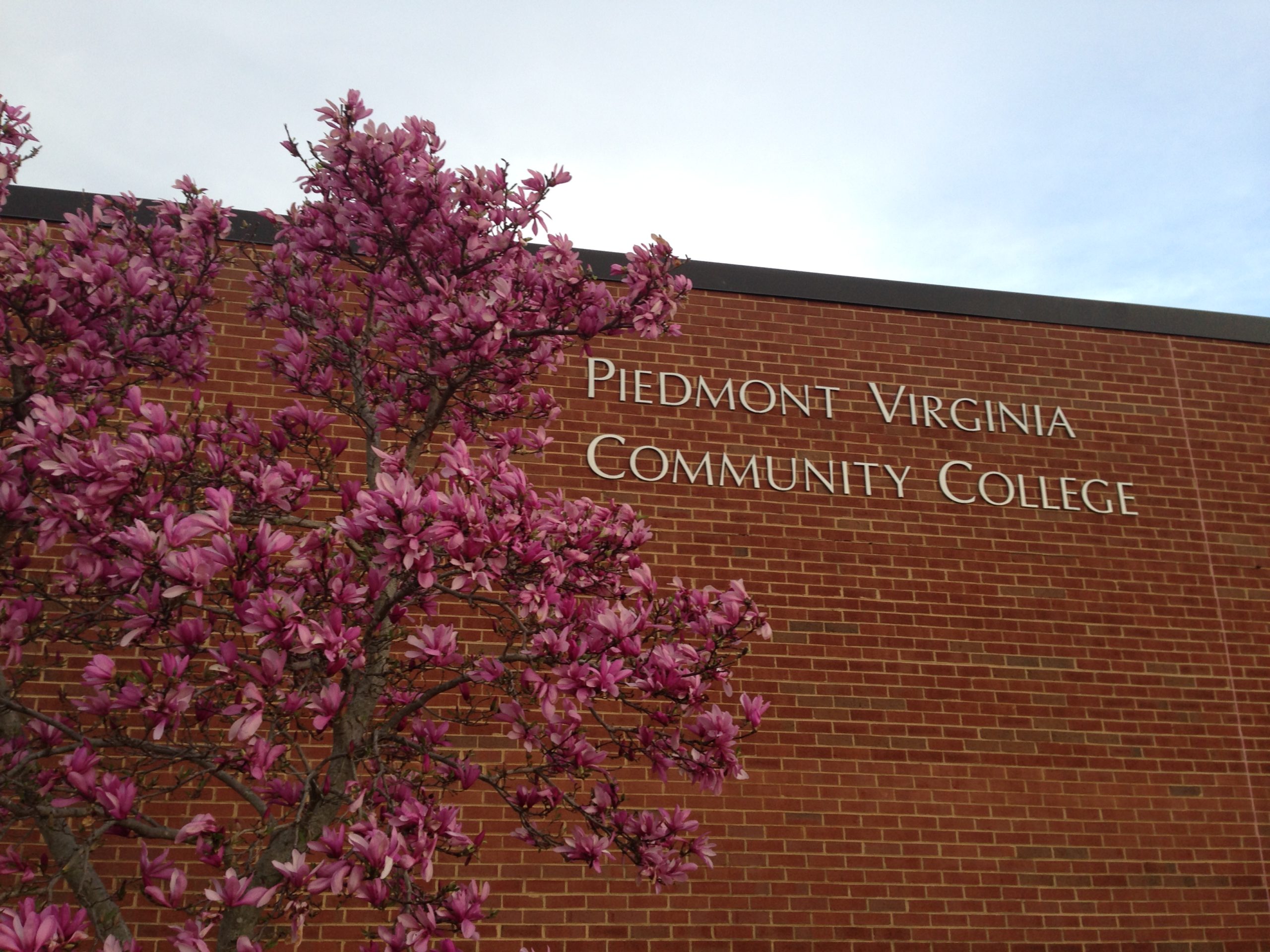 The outside of PVCC with pink flowers blooming.