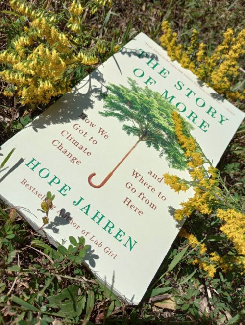 The book "The Story of More" sits amid foliage on the ground.
