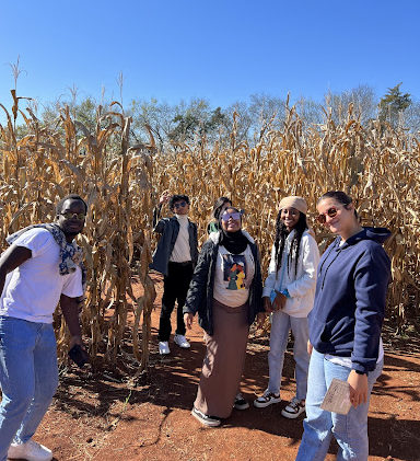 Members of the International Club enjoying the Liberty Mills Corn Maze