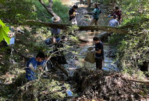 Rivanna Conservation Alliance members and volunteers work together to clean up a creek