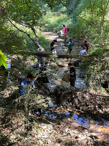 Rivanna Conservation Alliance members and volunteers work together to clean up a creek