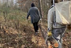 Two volunteers are carrying a red cedar log through the forest.