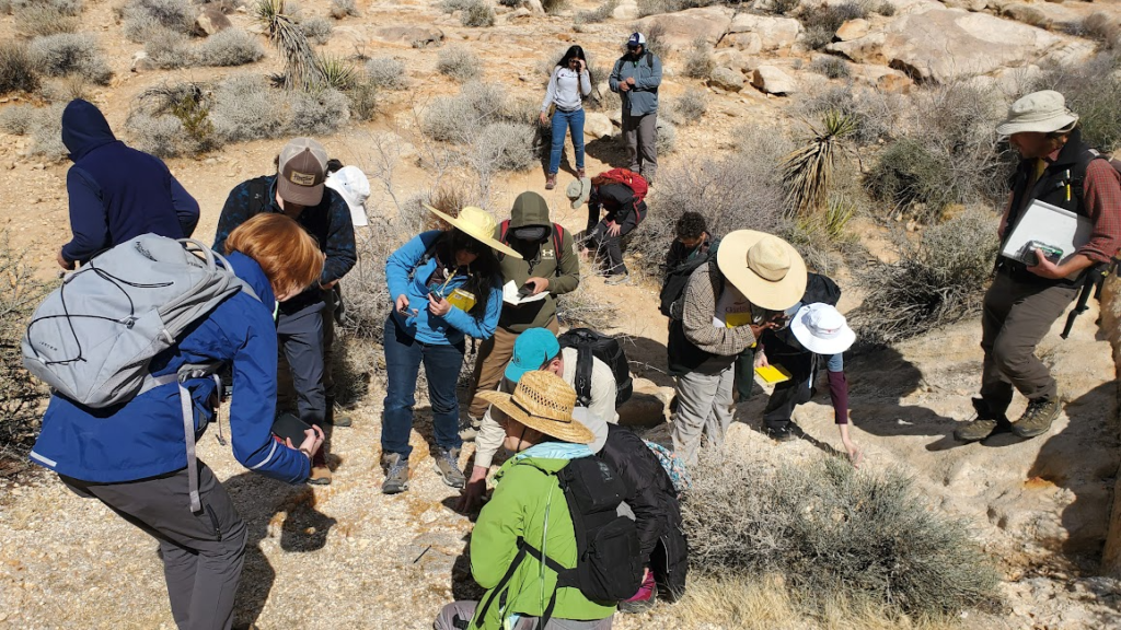 Geology students making observations and taking notes