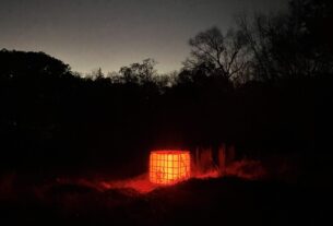 A cube glowing with warm light against the background of a dark forest.