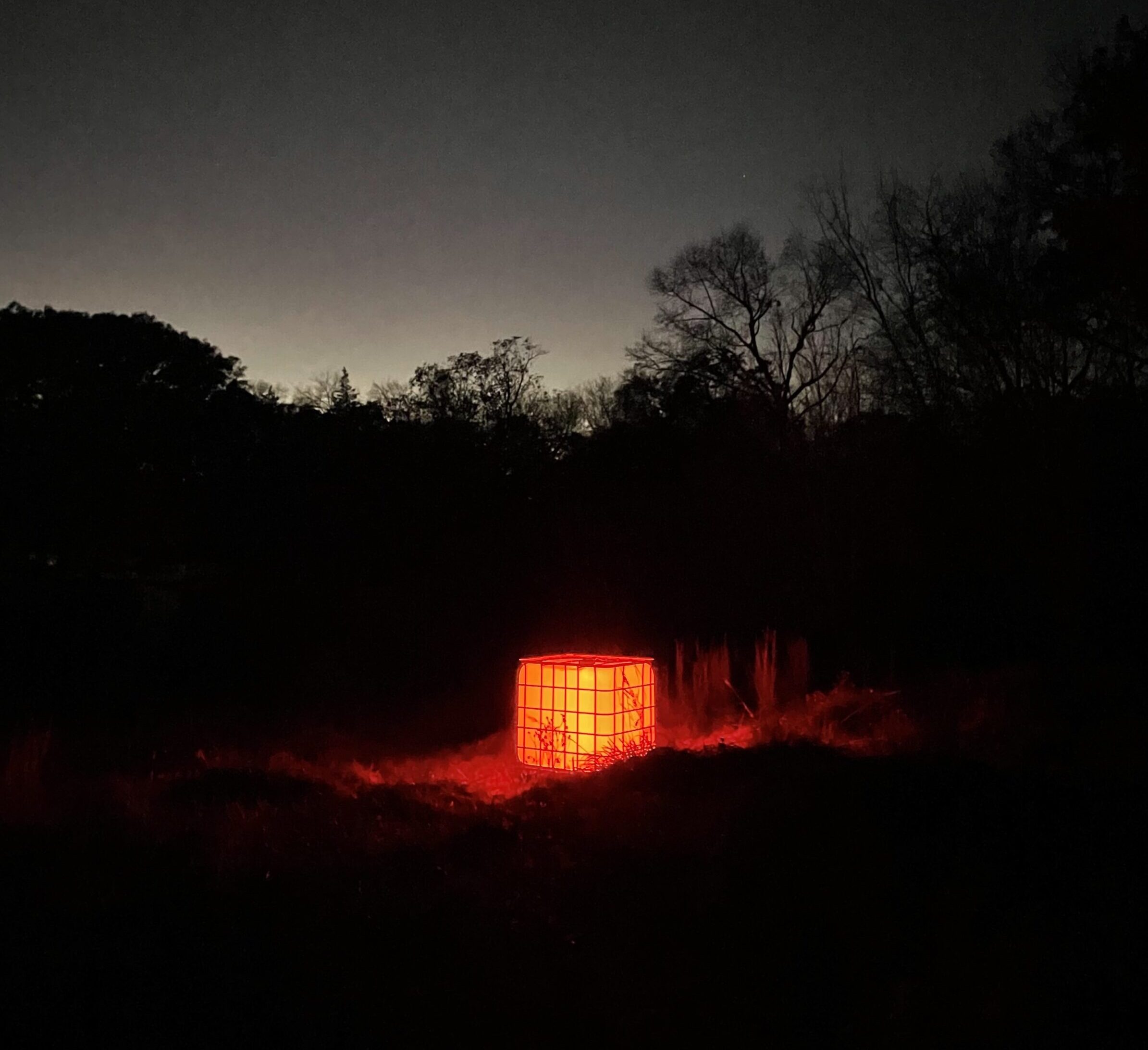 A cube glowing with warm light against the background of a dark forest.