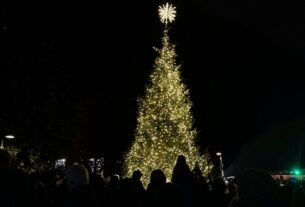 A Christmas tree lit up with white lights with a large star on top in a dark crowd.