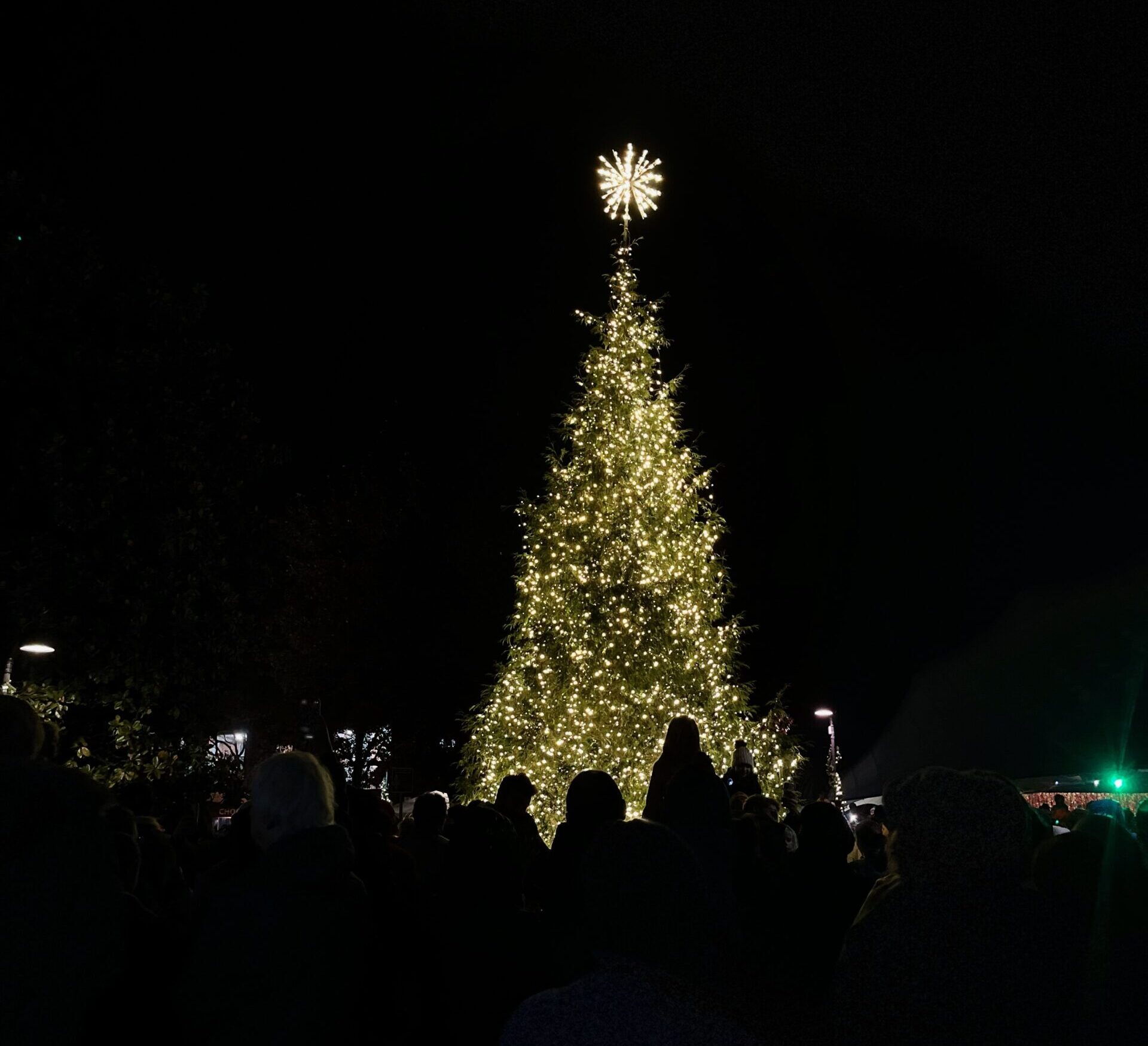 A Christmas tree lit up with white lights with a large star on top in a dark crowd.