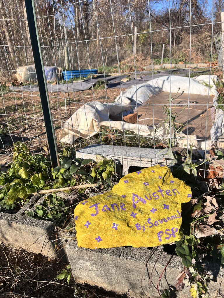 A large rock painted yellow labeled Jane Austen in front of a wire fence