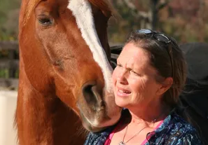 A brown horse with a white line on its nose looking at a woman in a blue shirt.